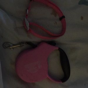 Dog collar and leash